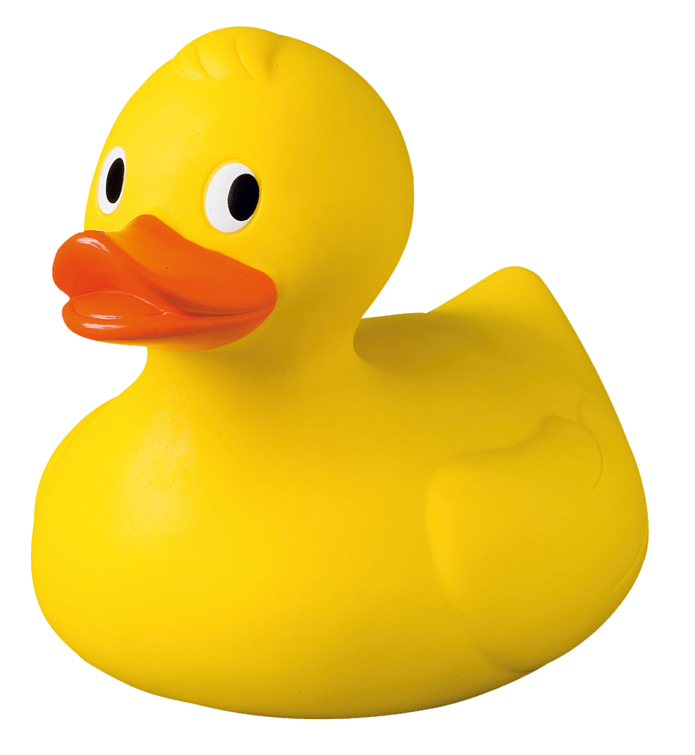 Javo